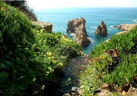 Sintra - Parque Natural Sintra Cascais
